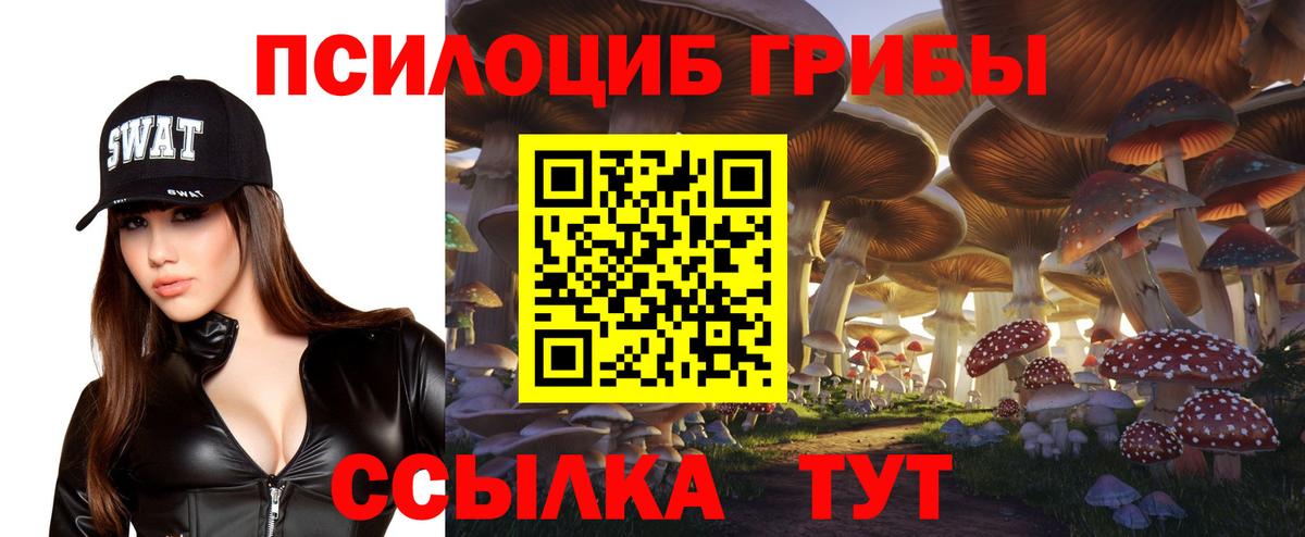 Южно-Сахалинск  Галлюциногенные грибы прущие грибы  где найти   Вход с VPN 